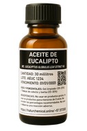 Eucalipto