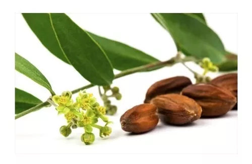 Aceite esencial de Jojoba